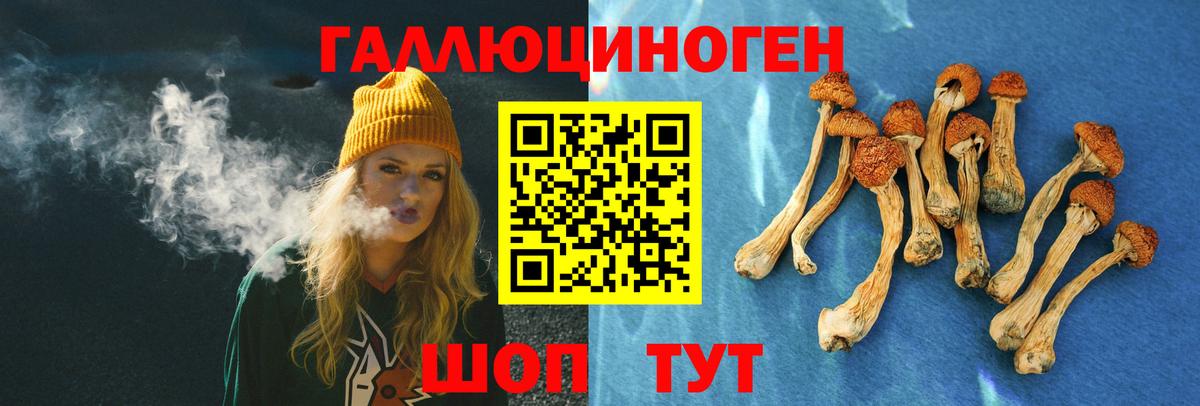 Каменск-Уральский  Галлюциногенные грибы мицелий  Вход с VPN  цены наркотик  Псилоцибиновые грибы GOLDEN TEACHER 